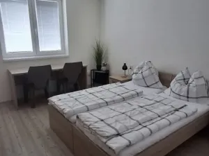 Pronájem bytu 2+1, Olomouc, U Hradiska, 50 m2