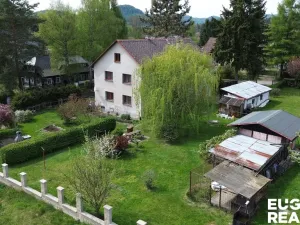 Prodej rodinného domu, Nový Bor - Janov, 350 m2