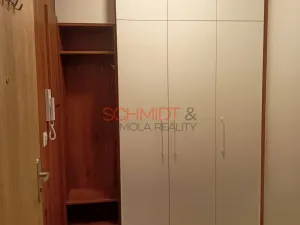 Pronájem bytu 1+kk, Hustopeče, Alejní, 30 m2
