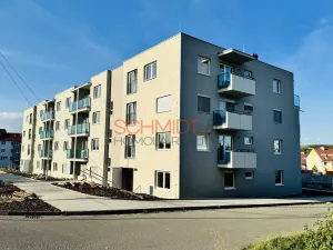 Pronájem bytu 1+kk, Hustopeče, Alejní, 30 m2