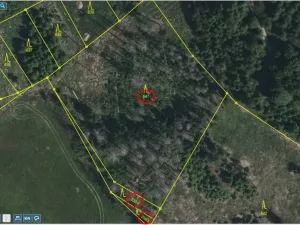 Prodej lesa, Knínice, 5303 m2