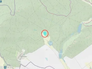 Prodej lesa, Knínice, 5303 m2