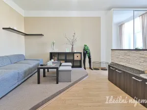 Pronájem bytu 2+1, Brno, Čápkova, 67 m2