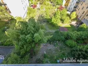 Pronájem bytu 2+1, Brno, Čápkova, 67 m2