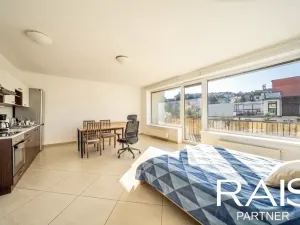 Prodej bytu 1+kk, Brno, Vranovská, 38 m2