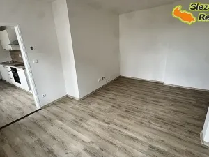 Pronájem bytu 1+1, Brušperk, Dráhy, 41 m2