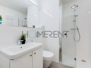 Pronájem bytu 1+kk, Praha - Vinohrady, Perucká, 26 m2