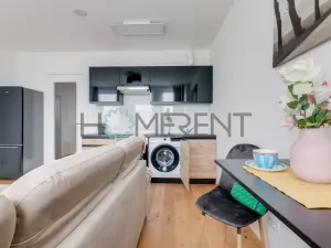 Pronájem bytu 1+kk, Praha - Vinohrady, Perucká, 26 m2