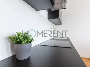 Pronájem bytu 1+kk, Praha - Vinohrady, Perucká, 26 m2