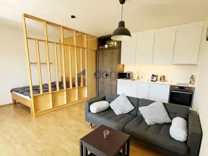 Pronájem bytu 1+kk, Praha, U jízdárny, 41 m2