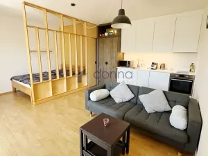 Pronájem bytu 1+kk, Praha, U jízdárny, 41 m2