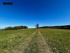 Prodej chalupy, Kounov - Šediviny, 160 m2