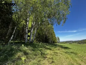 Prodej chalupy, Kounov - Šediviny, 160 m2