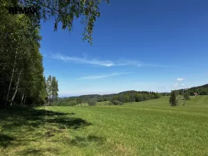 Prodej chalupy, Kounov - Šediviny, 160 m2