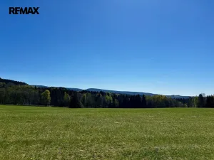 Prodej chalupy, Kounov - Šediviny, 160 m2