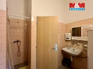 Pronájem výrobních prostor, Město Albrechtice, L. Janáčka, 410 m2