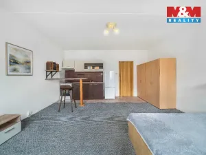 Prodej bytu 1+kk, Plzeň, Krašovská, 32 m2