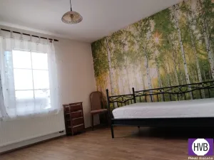 Prodej rodinného domu, Spálené Poříčí, Havlíčkova, 150 m2