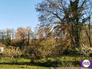 Prodej rodinného domu, Spálené Poříčí, Havlíčkova, 150 m2