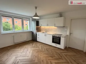 Pronájem bytu 2+kk, Ostrov, Lidická, 41 m2