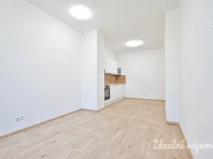Pronájem bytu 2+kk, Brno - Královo Pole, Poděbradova, 45 m2