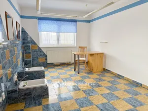 Pronájem obchodního prostoru, Nový Šaldorf-Sedlešovice, Dlouhá, 35 m2