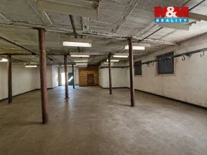 Pronájem výrobních prostor, Praskačka, 95 m2
