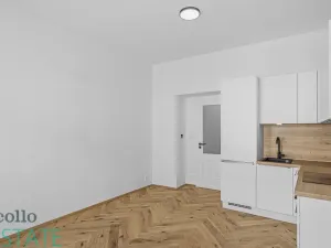 Pronájem bytu 1+kk, Praha, Seifertova, 26 m2