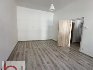 Pronájem bytu 1+1, České Budějovice, Matice školské, 40 m2