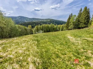 Prodej pozemku pro bydlení, Hamry, 5952 m2