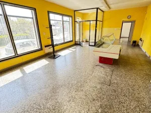 Prodej obchodního prostoru, Dubčany, 167 m2