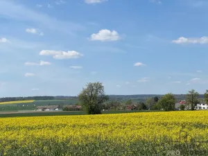 Prodej obchodního prostoru, Dubčany, 167 m2