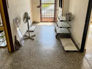Prodej rodinného domu, Dubčany, 206 m2