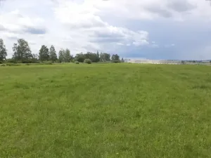 Dražba louky, Veselí nad Lužnicí, 1940 m2