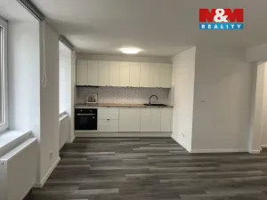 Pronájem bytu 1+kk, Český Těšín, Mlýnská, 72 m2