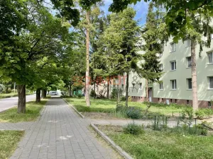 Pronájem bytu 2+kk, Hustopeče, Svat. Čecha, 51 m2