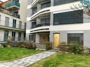 Pronájem bytu 1+kk, Brno, Rumiště, 38 m2