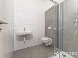 Pronájem bytu 1+1, Přerov - Přerov I-Město, Husova, 29 m2