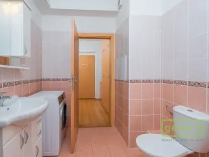 Prodej bytu 1+kk, Příbram, Gen. R. Tesaříka, 39 m2