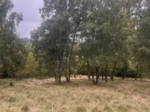 Prodej chalupy, Kytlice, 120 m2