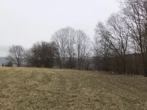 Prodej pole, Malečov - Řetouň, 939 m2