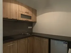 Pronájem bytu 2+1, Olomouc, Vídeňská, 70 m2