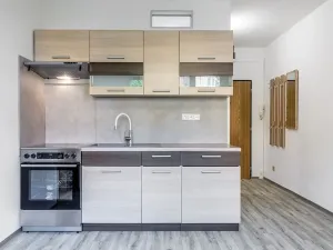 Pronájem bytu 2+kk, České Budějovice, Puklicova, 39 m2