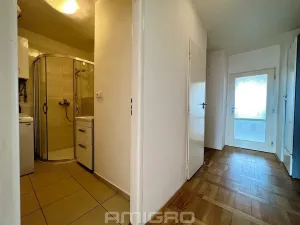 Prodej bytu 1+1, Brno, Merhautova, 48 m2