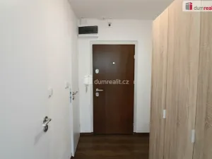 Pronájem bytu 1+kk, Kamenice, Sídliště II, 33 m2