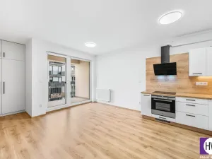 Prodej bytu 2+kk, Plzeň, Goldscheiderova, 56 m2