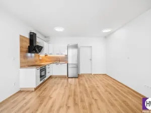 Prodej bytu 2+kk, Plzeň, Goldscheiderova, 56 m2