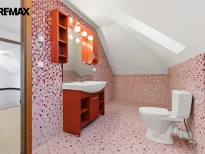 Pronájem rodinného domu, Jenišov - Pod Rohem, K Rohu, 210 m2