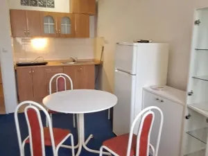 Pronájem bytu 1+kk, Olomouc, Jarmily Glazarové, 27 m2