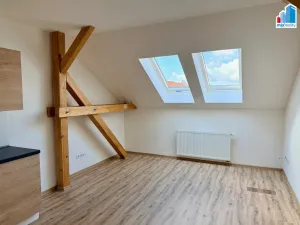 Pronájem bytu 2+kk, Plzeň, Guldenerova, 48 m2